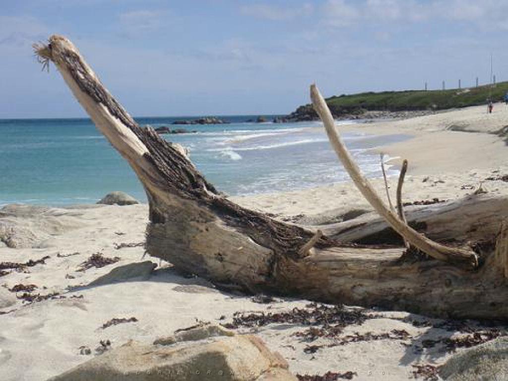 156 ILE DE HOEDIC_000062.jpg